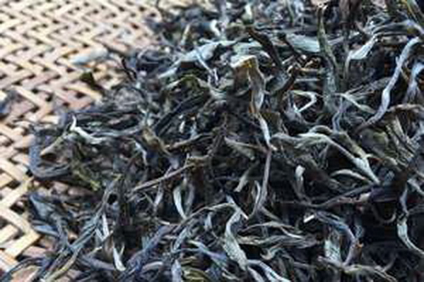 小葉苦丁茶降血糖有效嗎