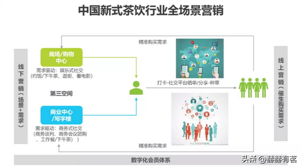 探尋甜茶葉的茶葉身份