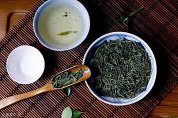 探尋甜茶葉的茶葉身份