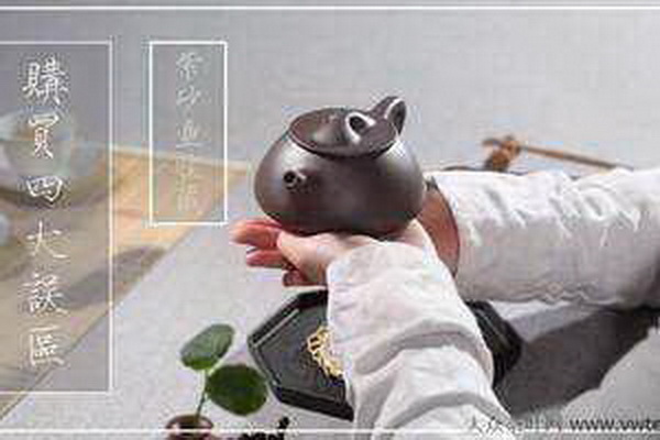 探尋甜茶葉的茶葉身份