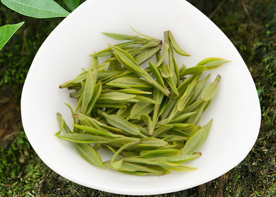 探尋生普洱茶的性味歸經(jīng)
