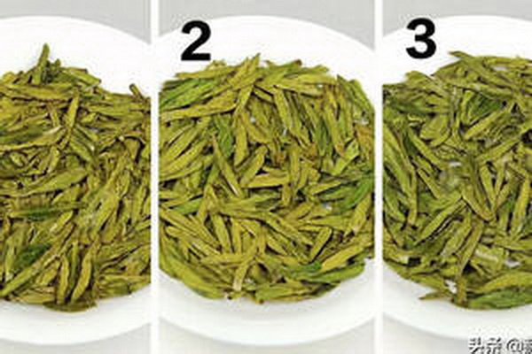 探尋白毫銀針茶價(jià)格走勢解密茶葉市場