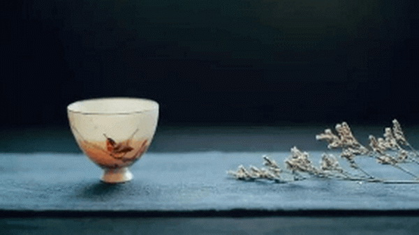 探尋白茶之美有機(jī)茶的健康魅力