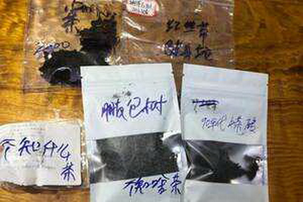 探尋白茶中的極致品味最佳白茶