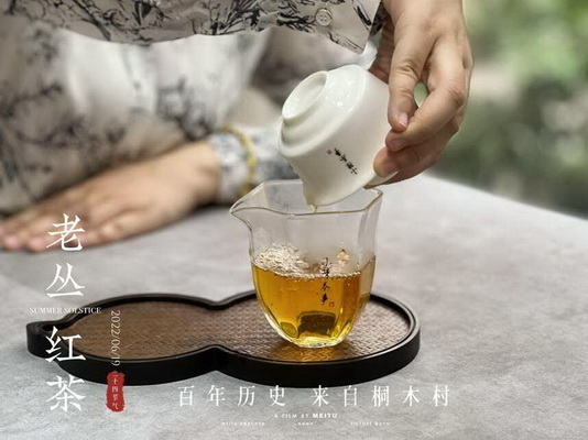 探尋白茶中的極致品味最佳白茶