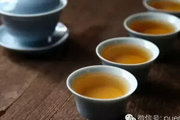探尋白茶之源 產(chǎn)地揭秘