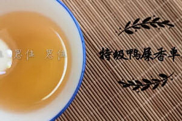 探尋白茶品牌大全匯總與品鑒指南