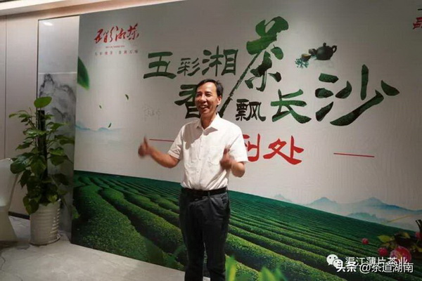 探尋白茶品種特點(diǎn)與鑒賞